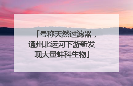 号称天然过滤器，通州北运河下游新发现大量蚌科生物